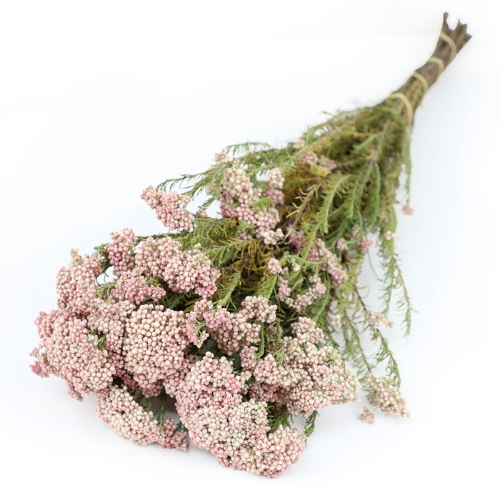 Pink Rice Flower Bunch