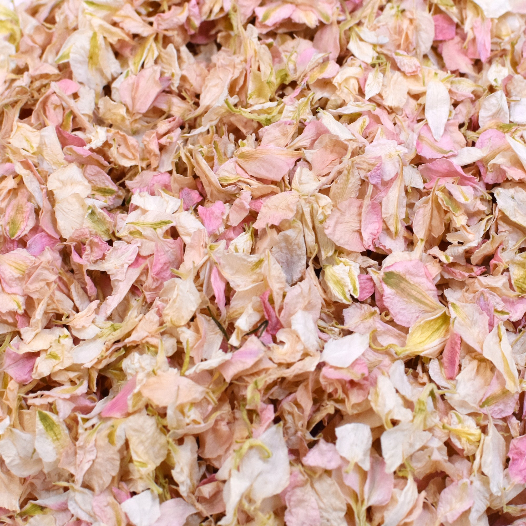 Pink Lemonade
