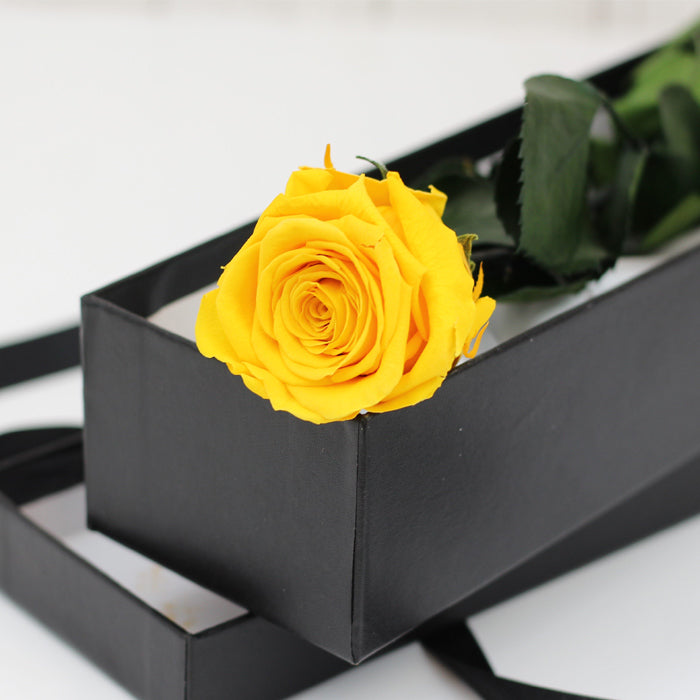 Preserved Yellow Rose Stem in black box