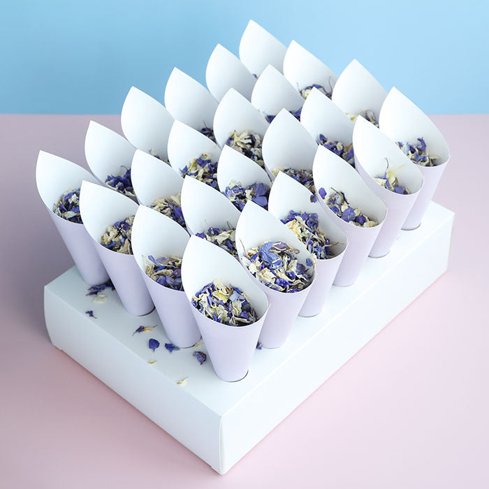 Unbranded Confetti Cone Tray