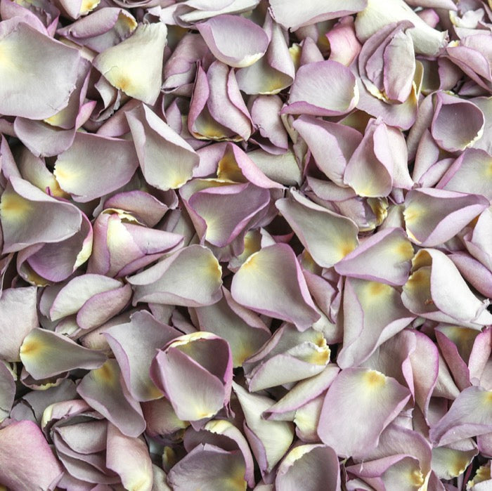 Lavender Rose Petals