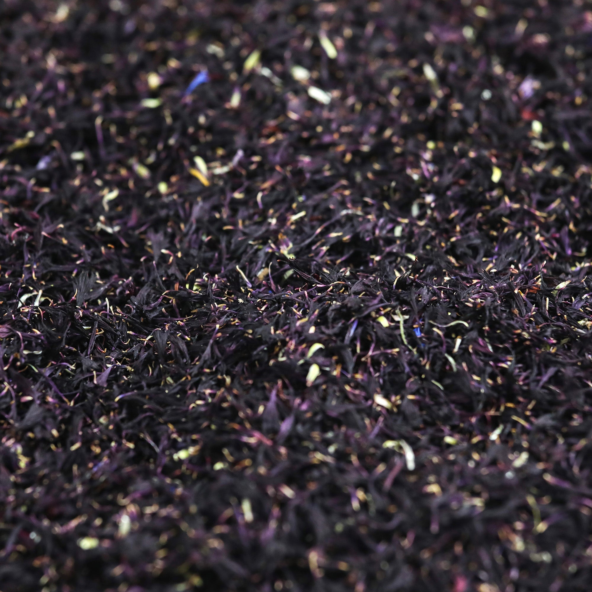 Black Cornflower Petals