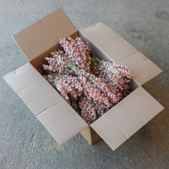 Mixed Pink Delphinium Bunch - Box of 20