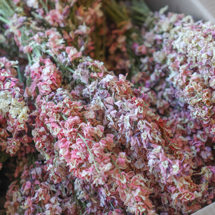 Mixed Pink Delphinium Bunch - Box of 20