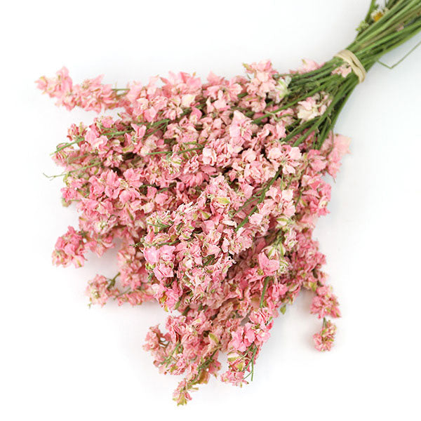 Light Pink Delphinium Bunch - Box of 20