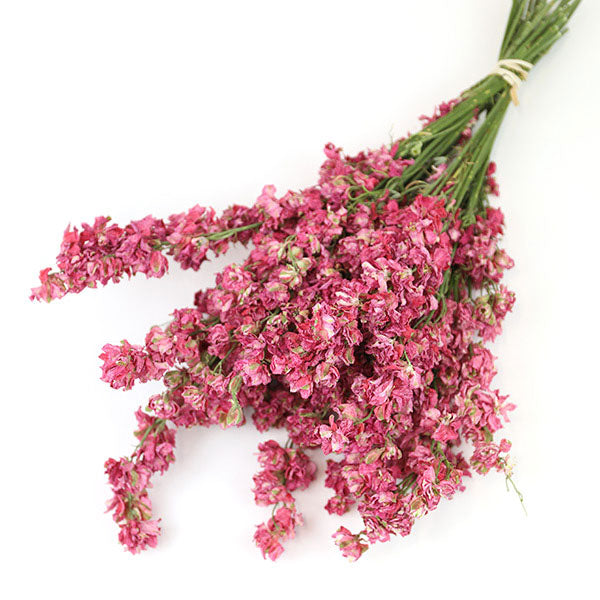 Dark Pink Delphinium Bunch
