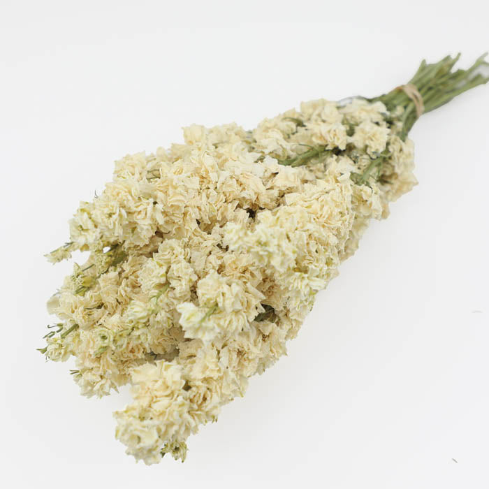 White Delphinium Bunch