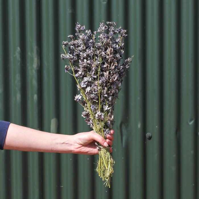 Grey Delphinium Bunch