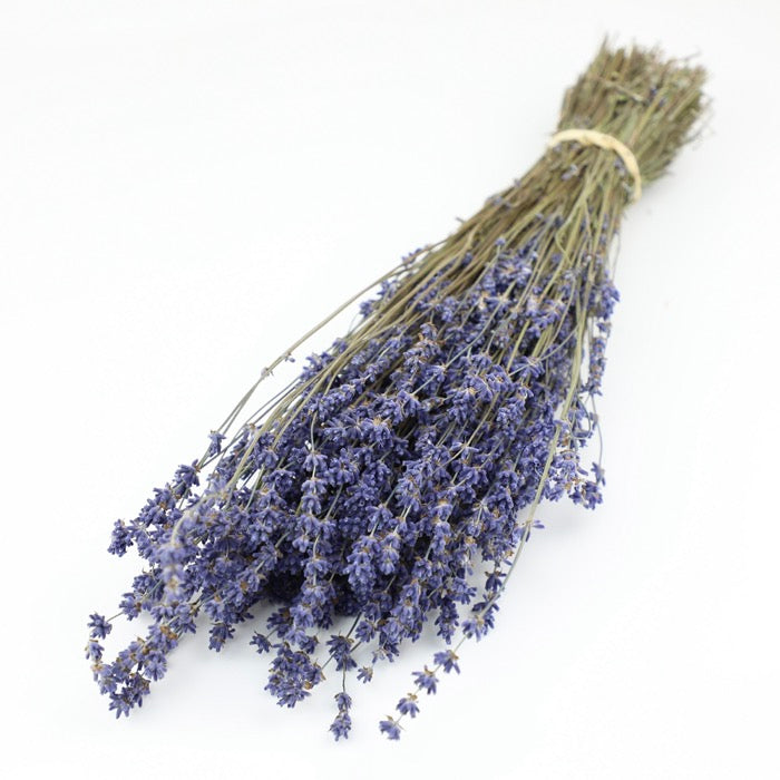 Lavender Bunch