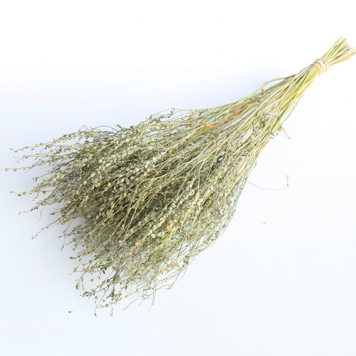 Green Lepidium Bunch