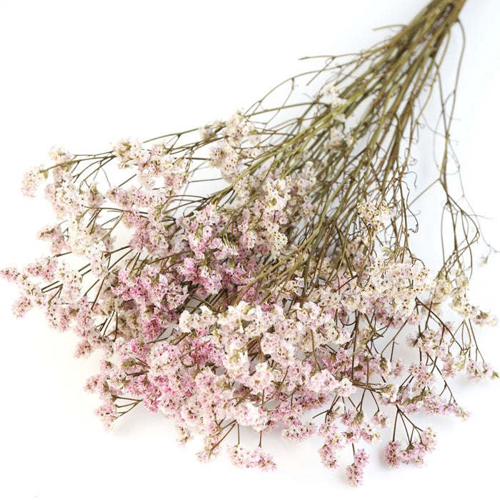Pink Limonium Bunch