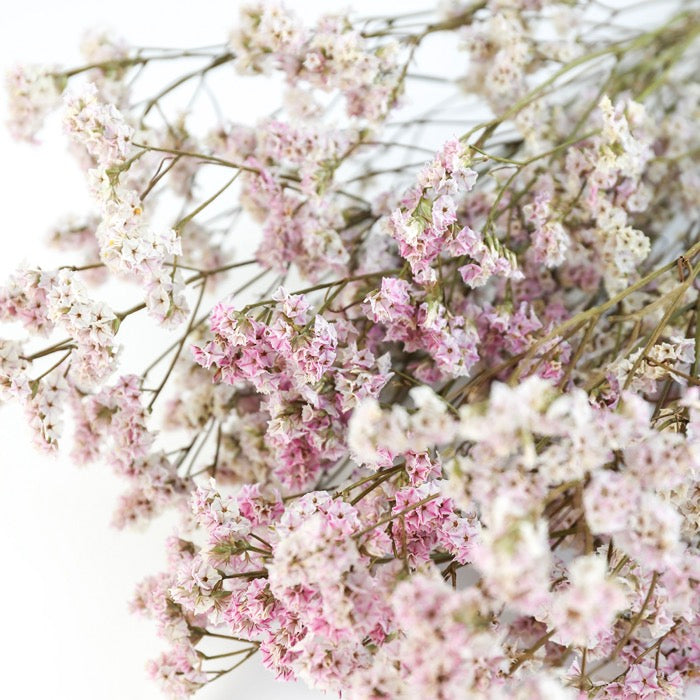 Pink Limonium Bunch