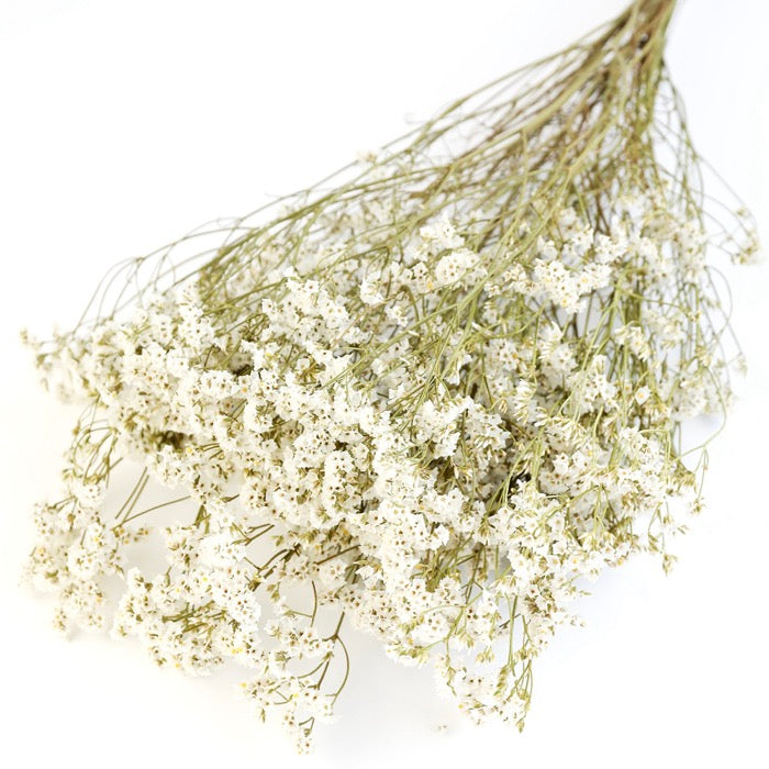 White Limonium Bunch