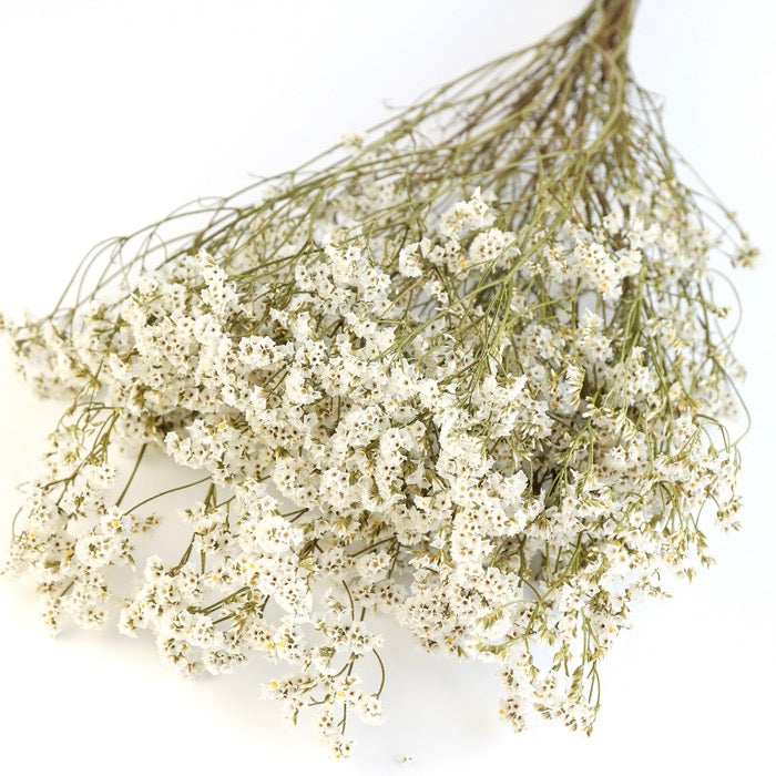 White Limonium Bunch