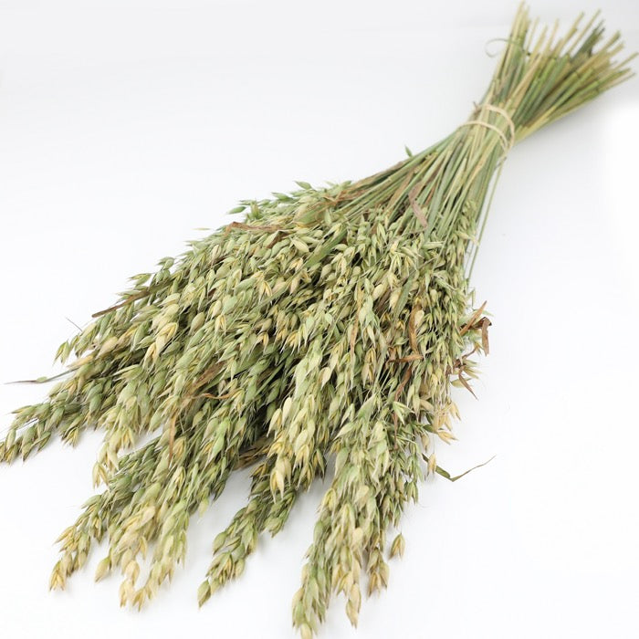 Oats Bunch