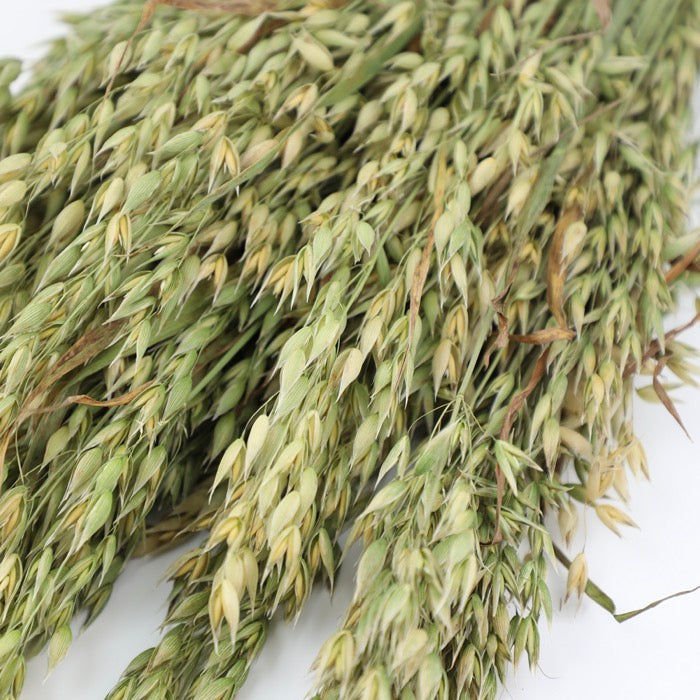 Oats Bunch