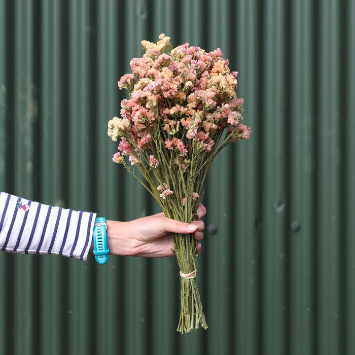 Apricot Statice Bunch