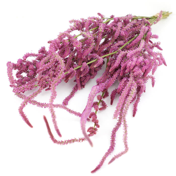 Pink Statice Suworowii Bunch