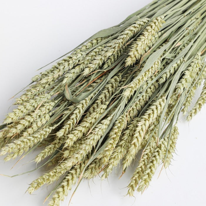 Wheat Bunch