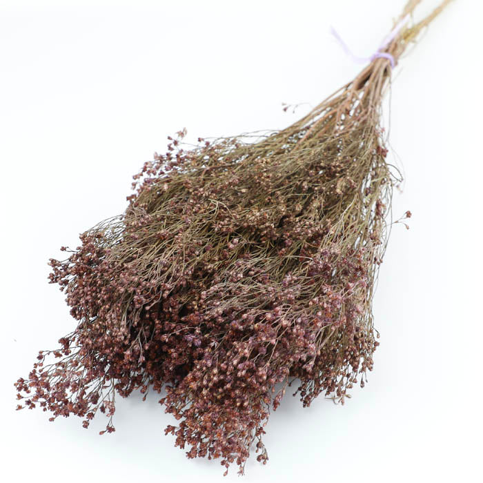 Purple Bloom Broom Bunches (Dyed) - Box of 25