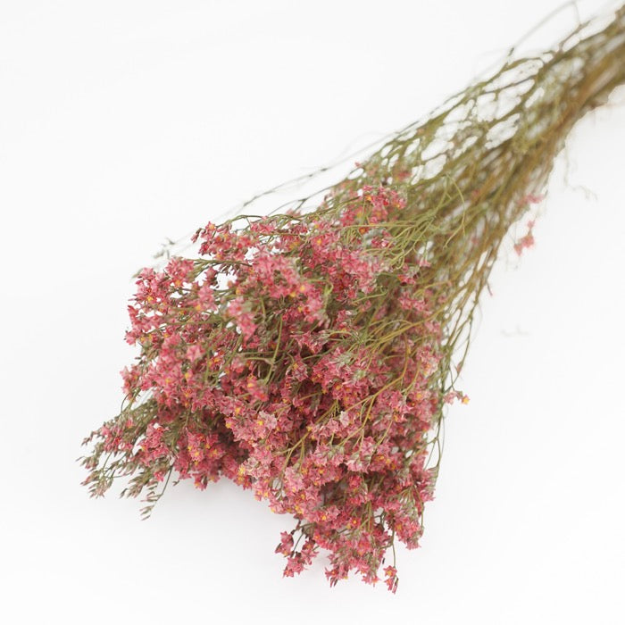 Coral Pink Limonium Bunch
