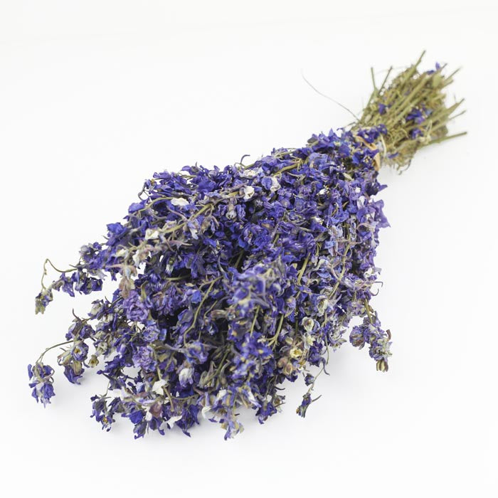 Purple Delphinium Bunch