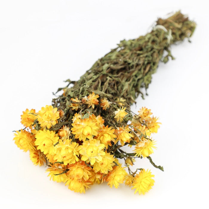Yellow Helichrysum Bunch