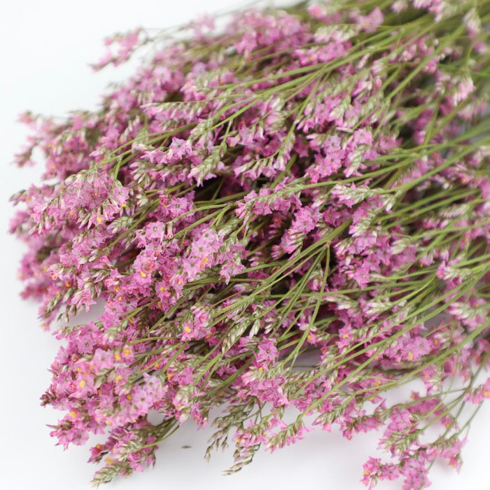 Pink Limonium Bunch - Box of 20