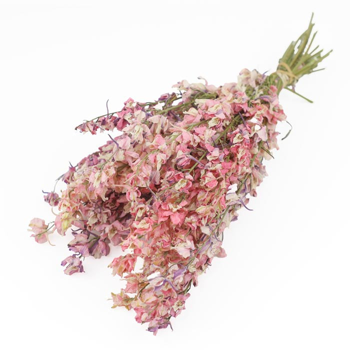 Mixed Pink Delphinium Bunch