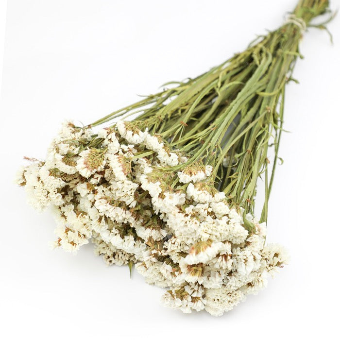 White Statice Bunch