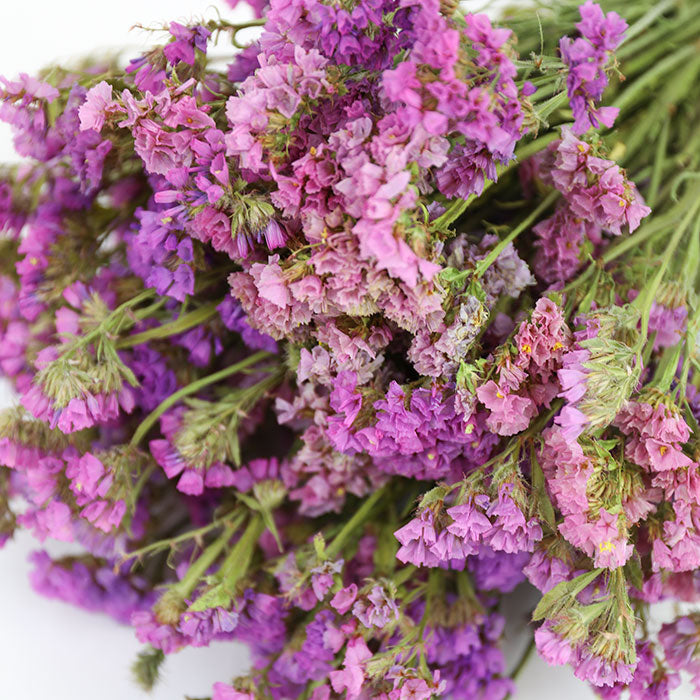 Purple Statice Bunch