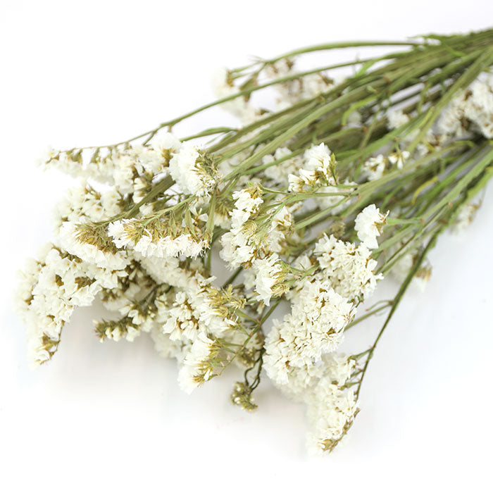 White Statice Bunches - Box of 10