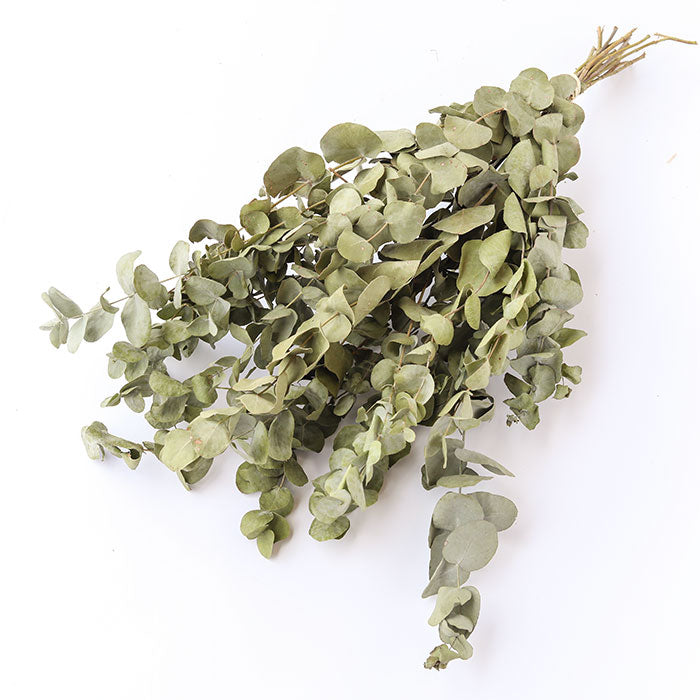 Eucalyptus Bunch