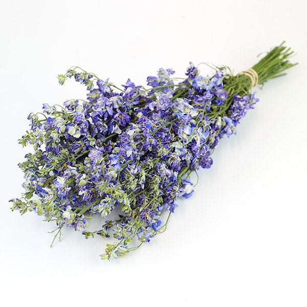 Light Blue Delphinium Bunch - Box of 20