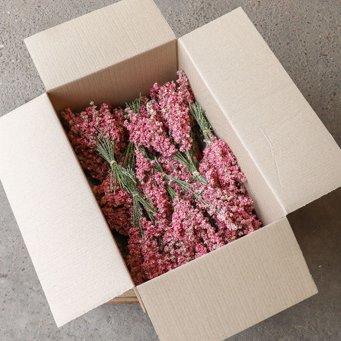 Dark Pink Delphinium Bunch - Box of 20