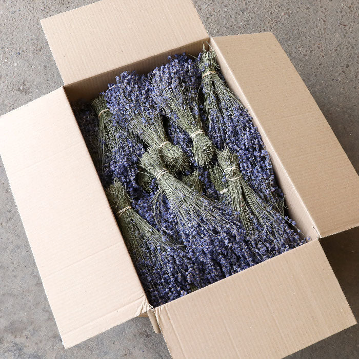 Lavender Bunches - Box of 50