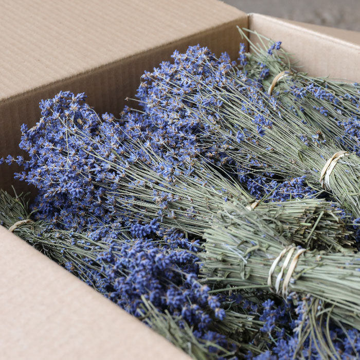 Lavender Bunches - Box of 50