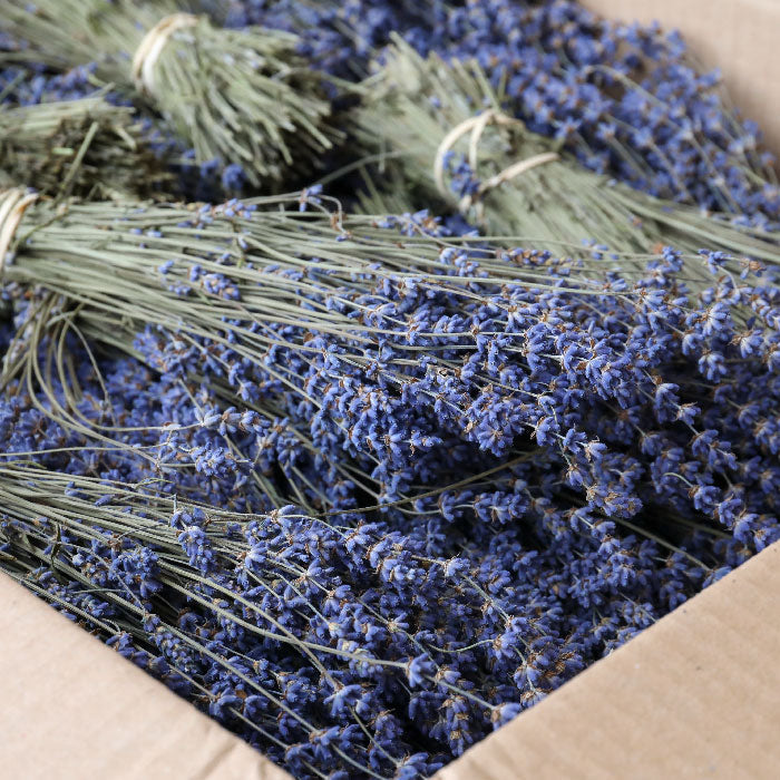 Lavender Bunches - Box of 50