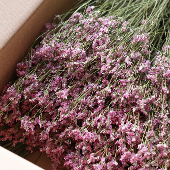 Pink Limonium Bunch - Box of 20