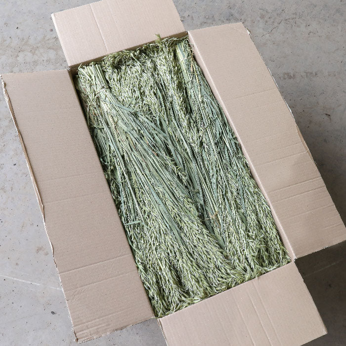 Oat Bunch - Box of 20