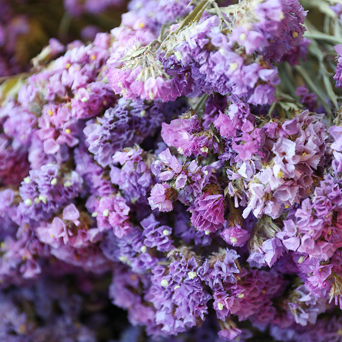 Lilac Pink Statice - Box of 10