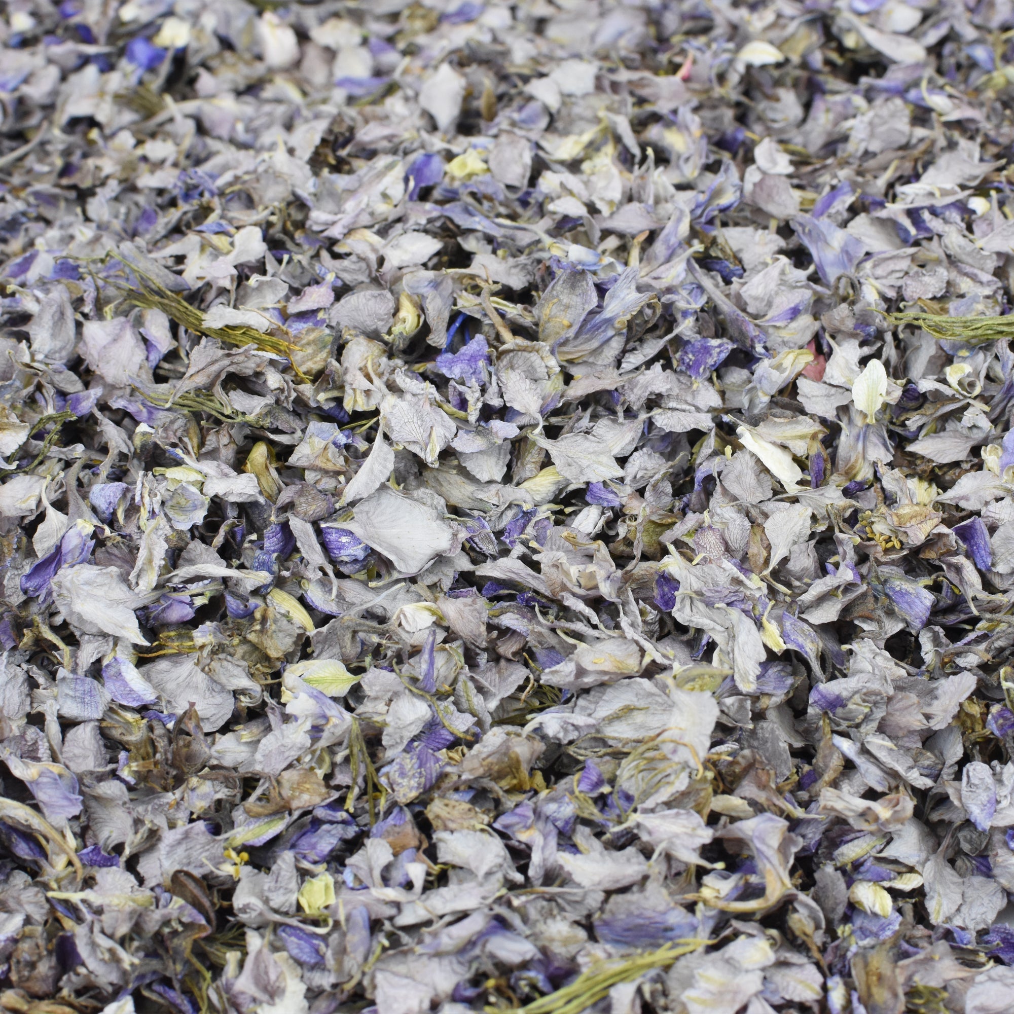 Grey Delphinium Petals