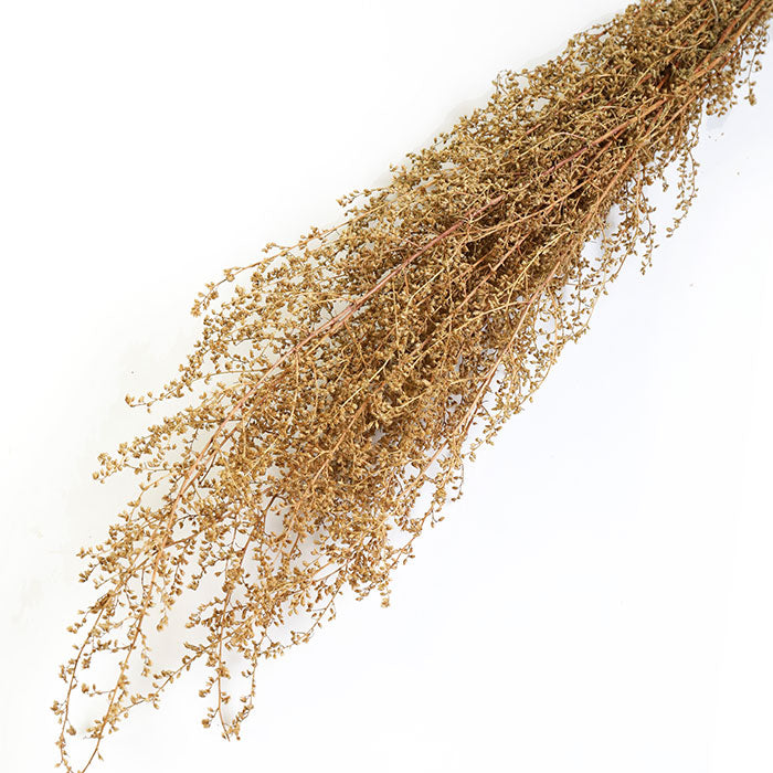 Natural Lepidium Bunch - Box of 10
