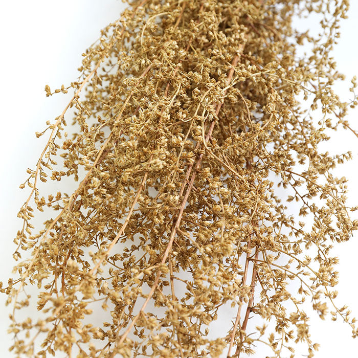 Natural Lepidium Bunch