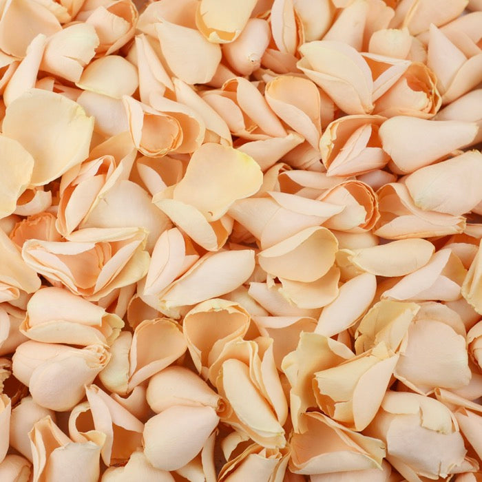 Peach Rose Petals