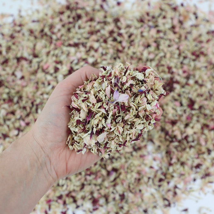 Burgundy & Pink Petals - Seconds