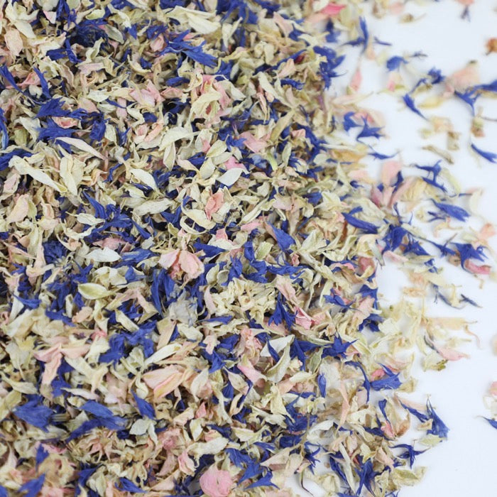 Navy & Pink Petals - Seconds