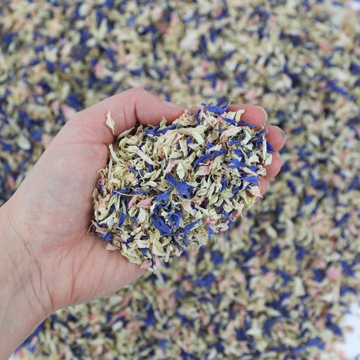 Navy & Pink Petals - Seconds