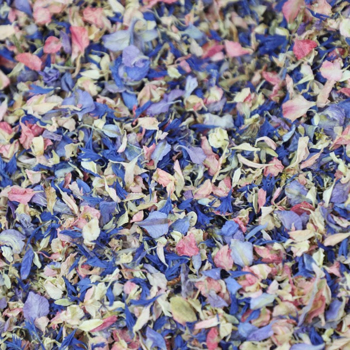 Purple, Pink & Ivory Petals - Seconds