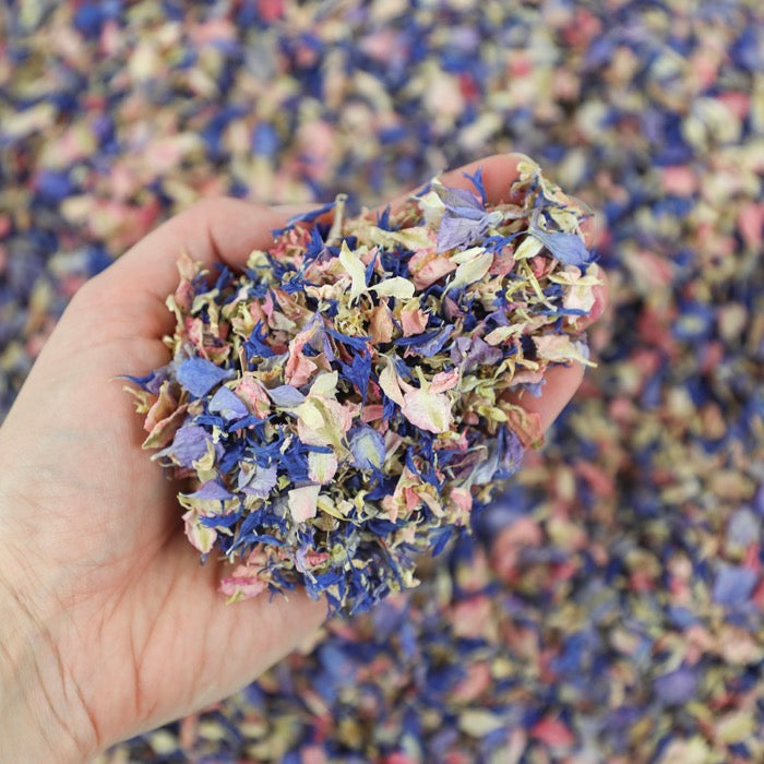 Purple, Pink & Ivory Petals - Seconds